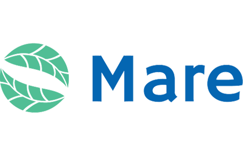 Mare logo