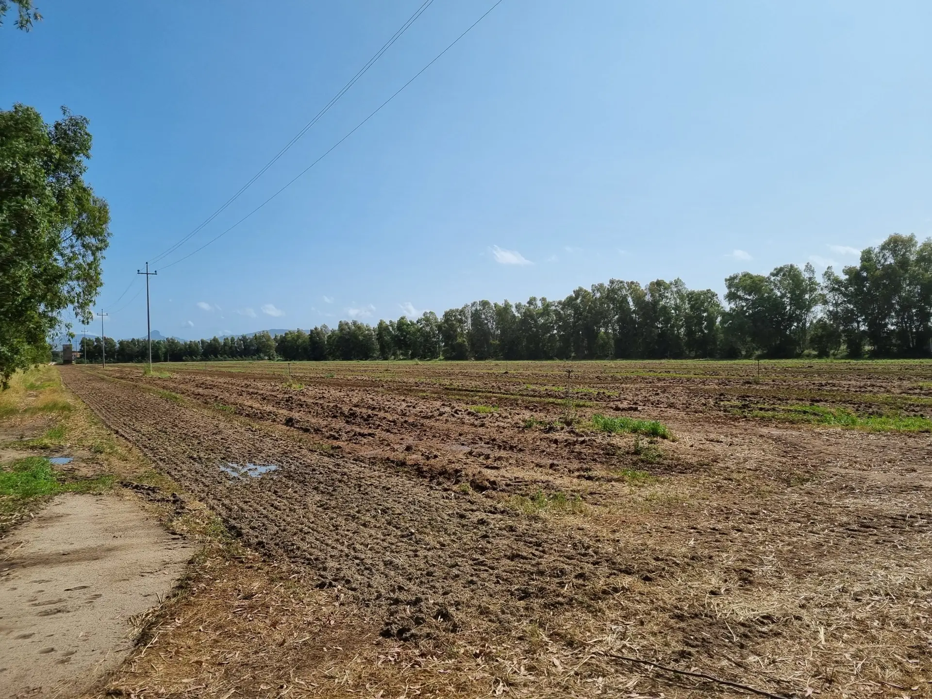 Stato originale - Fotoinserimenti per impianto agrivoltaico utility-scale (~10 MW) – valutazione impatto visivo