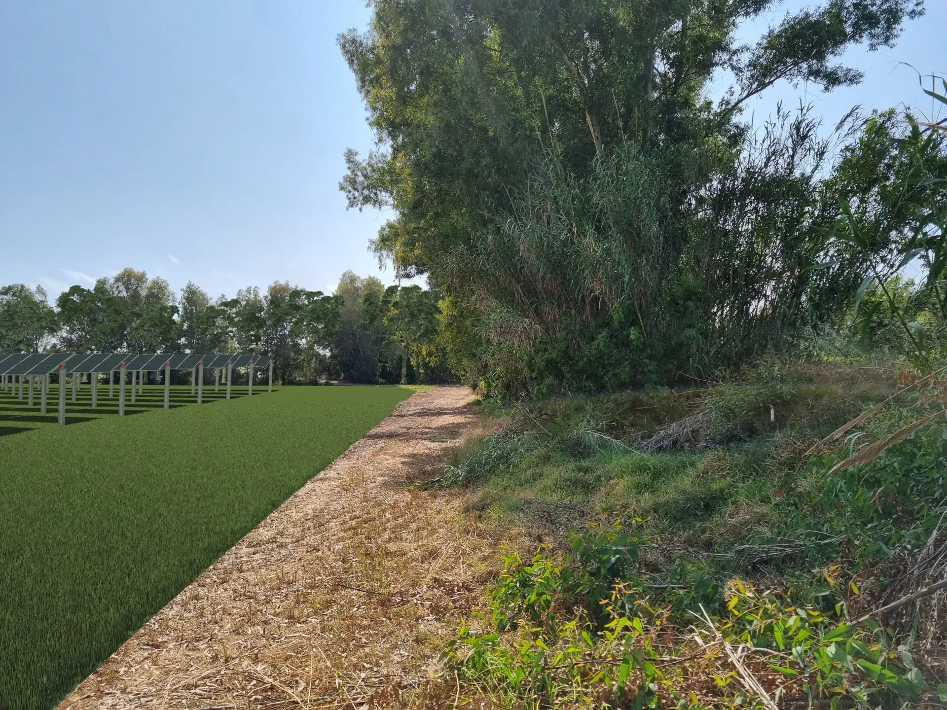 Render fotorealistico - Fotoinserimenti per impianto agrivoltaico utility-scale (~10 MW) – valutazione impatto visivo