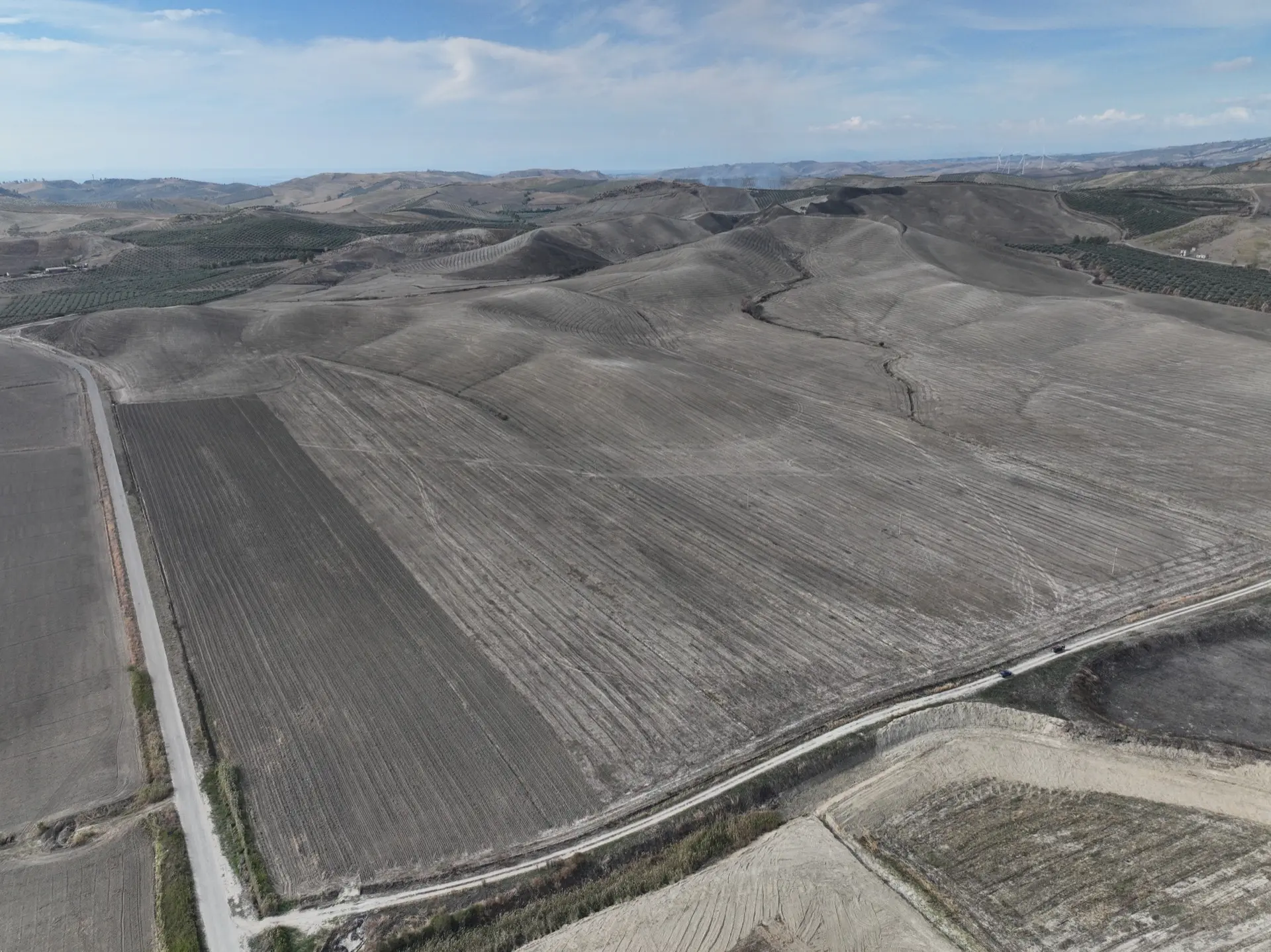 Stato originale - Fotoinserimenti per impianto agrivoltaico utility-scale (~30 MW) – valutazione impatto visivo