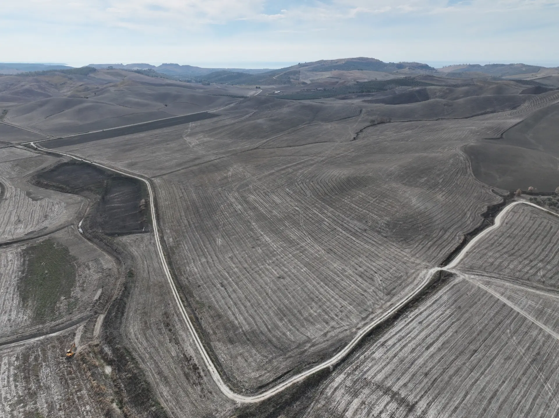 Stato originale - Fotoinserimenti per impianto agrivoltaico utility-scale (~30 MW) – valutazione impatto visivo