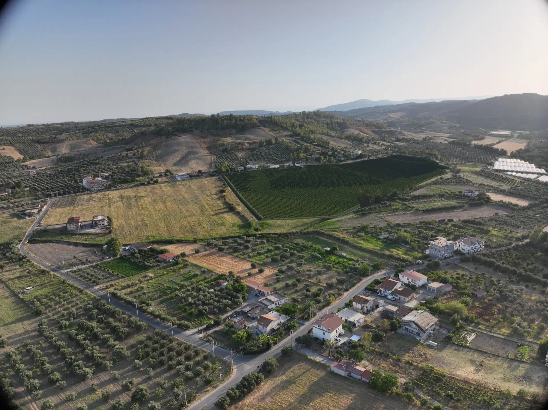 Render fotorealistico - Fotoinserimenti per impianto agrivoltaico utility-scale (~20 MW) – valutazione impatto visivo