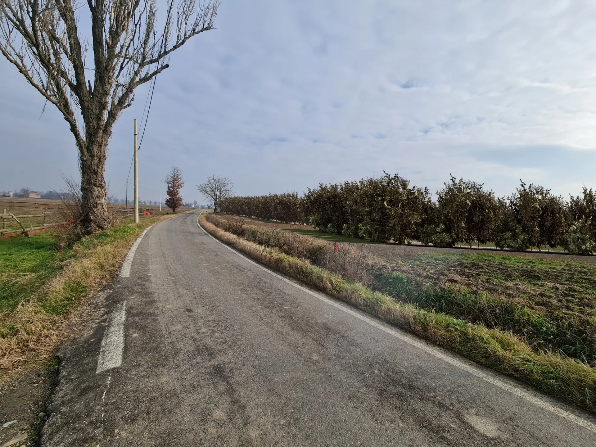 Render fotorealistico - Fotoinserimenti per impianto agrivoltaico utility-scale (~35 MW) – valutazione impatto visivo