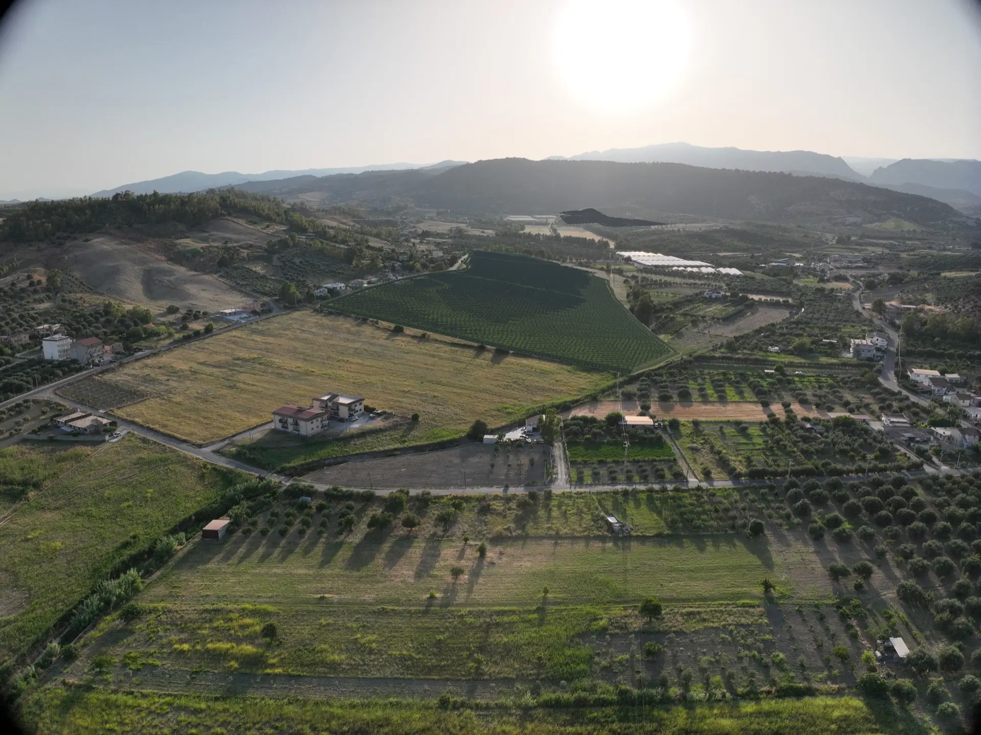 Render fotorealistico - Fotoinserimenti per impianto agrivoltaico utility-scale (~20 MW) – valutazione impatto visivo