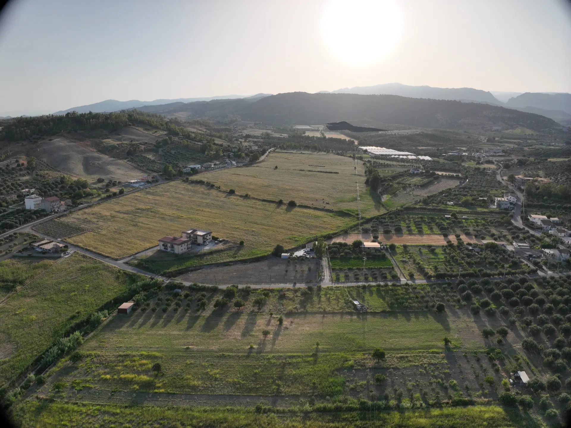 Stato originale - Fotoinserimenti per impianto agrivoltaico utility-scale (~20 MW) – valutazione impatto visivo
