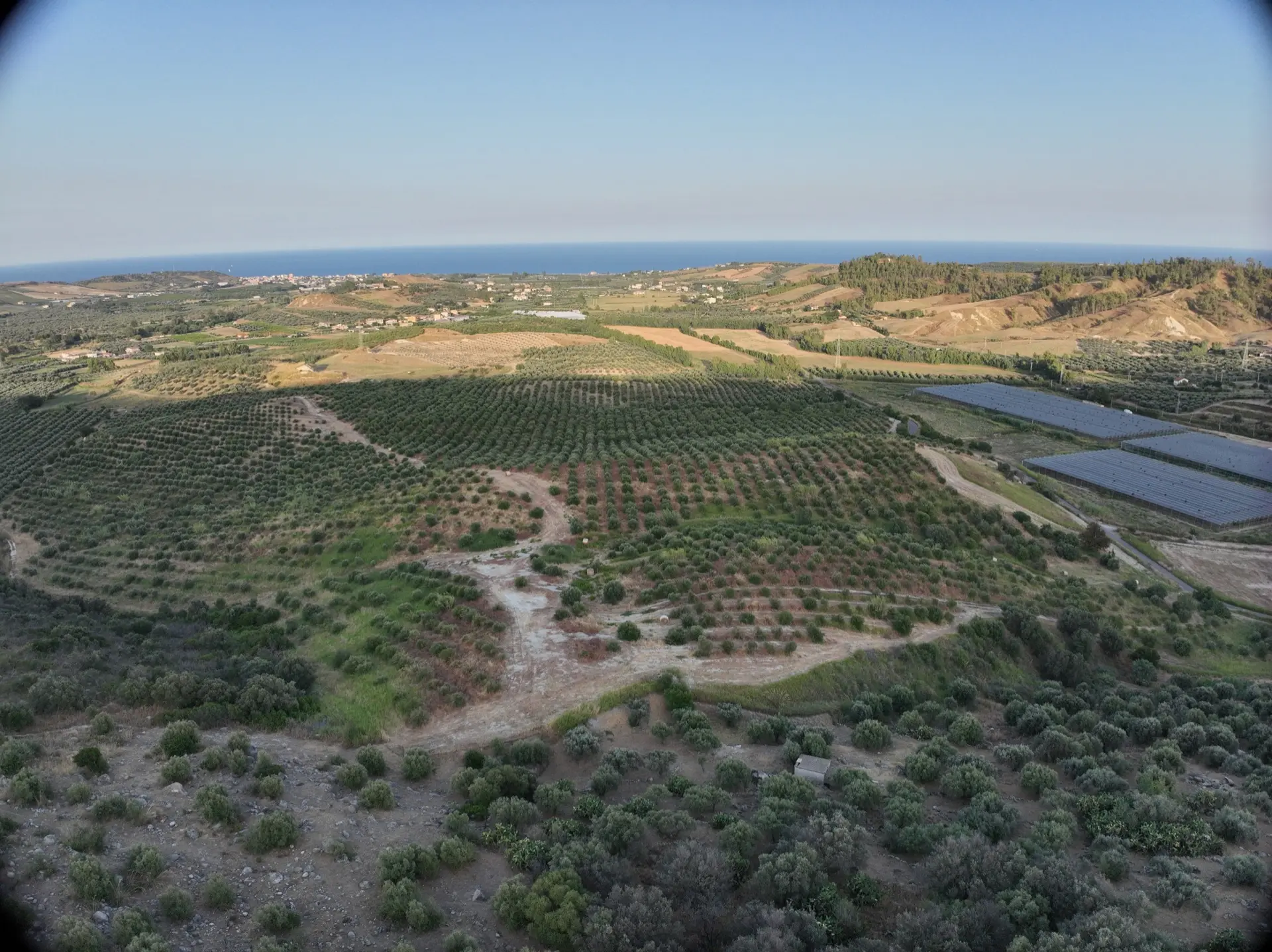 Stato originale - Fotoinserimenti per impianto agrivoltaico utility-scale (~30 MW) – valutazione impatto visivo