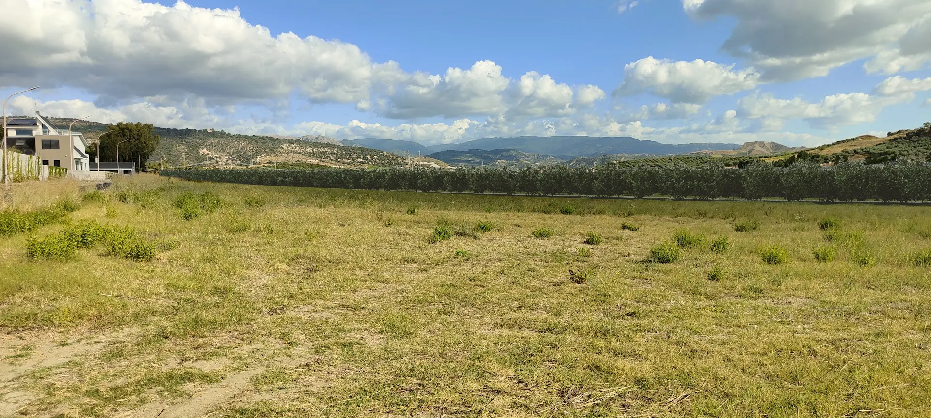 Render fotorealistico - Fotoinserimenti per impianto agrivoltaico utility-scale (~10 MW) – valutazione impatto visivo