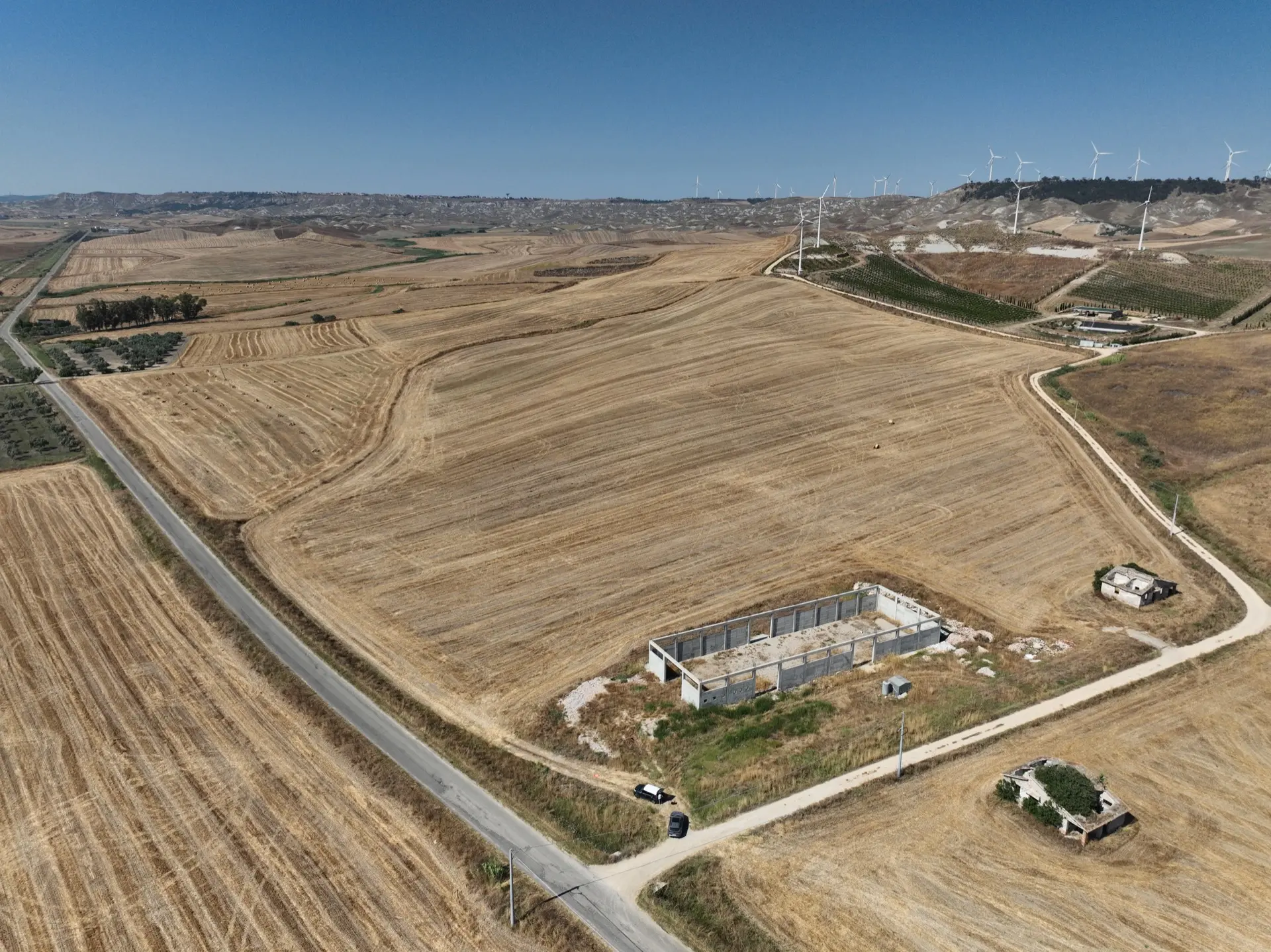 Stato originale - Fotoinserimenti per impianto agrivoltaico utility-scale (~30 MW) – valutazione impatto visivo