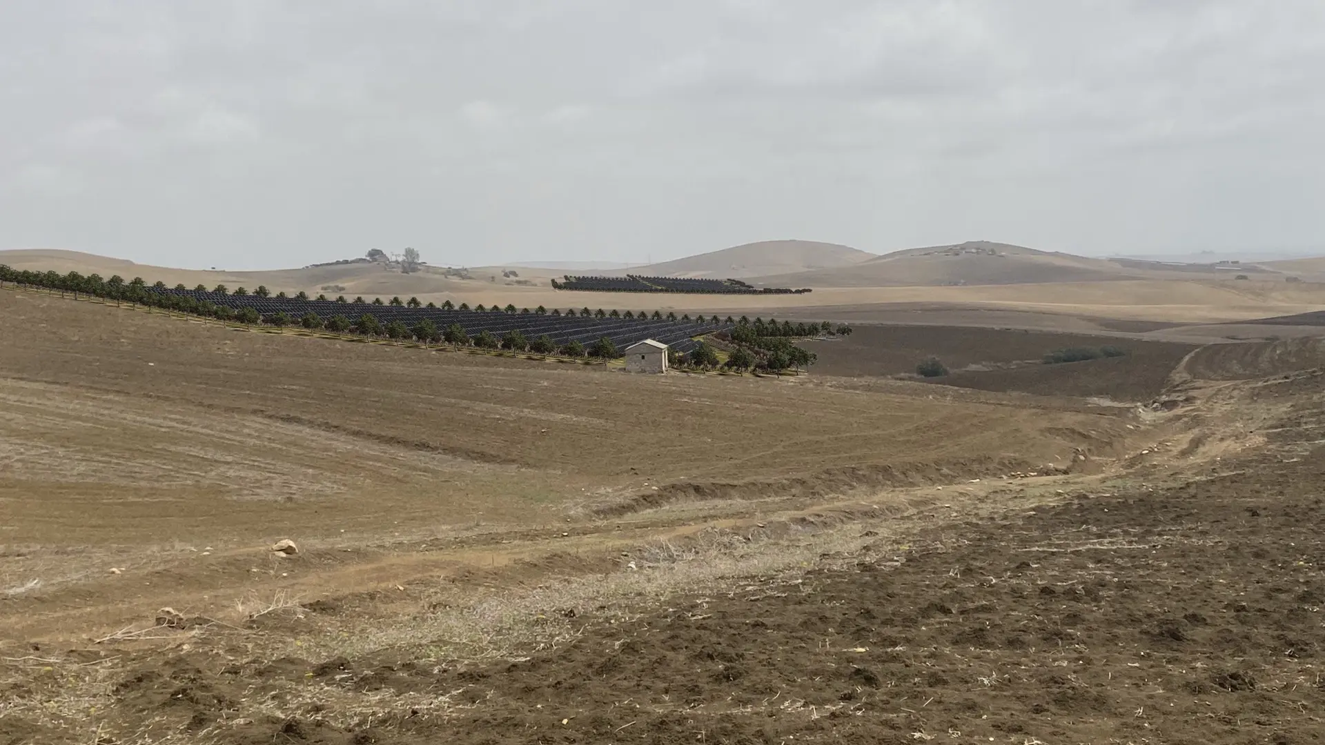 Render fotorealistico - Fotoinserimenti per impianto agrivoltaico utility-scale (~30 MW) – valutazione impatto visivo