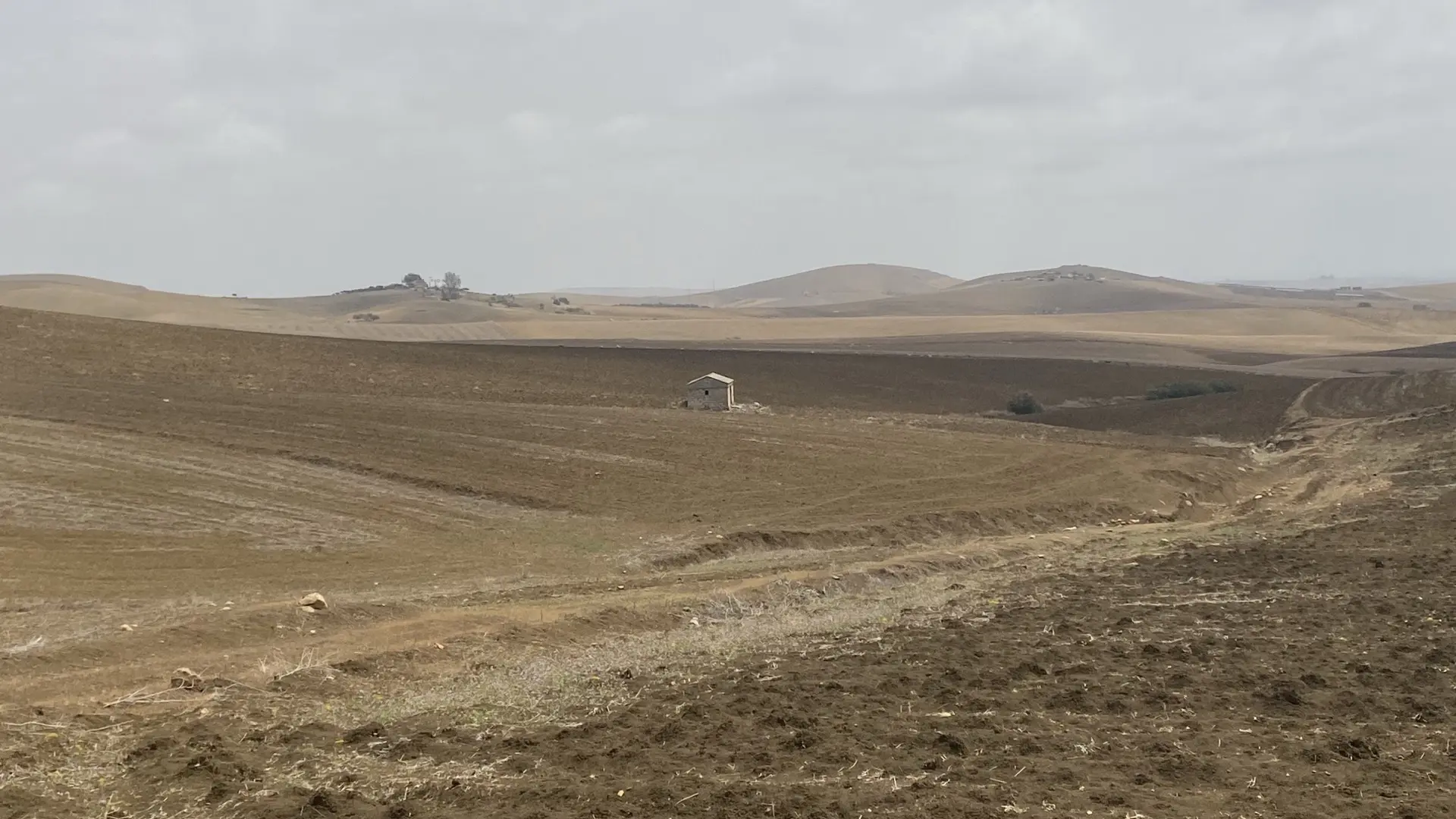 Stato originale - Fotoinserimenti per impianto agrivoltaico utility-scale (~30 MW) – valutazione impatto visivo