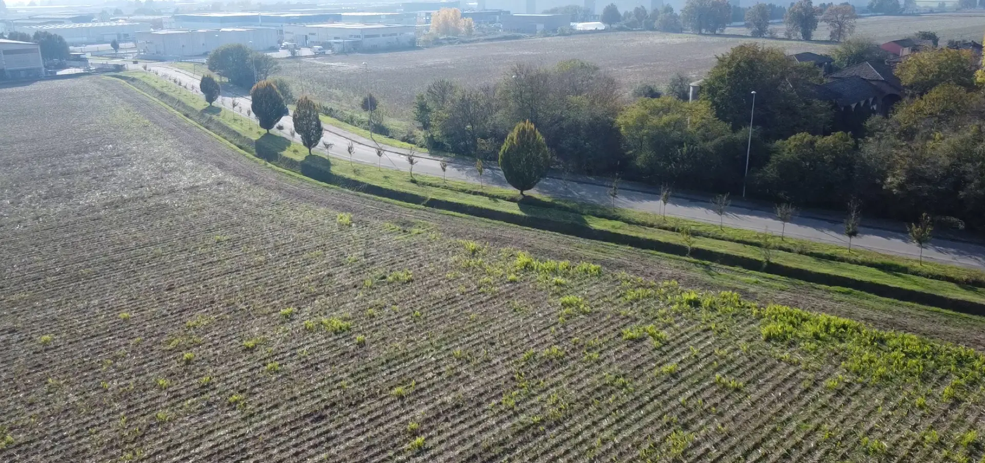Stato originale - Fotoinserimenti per impianto agrivoltaico utility-scale (~50 MW) – valutazione impatto visivo