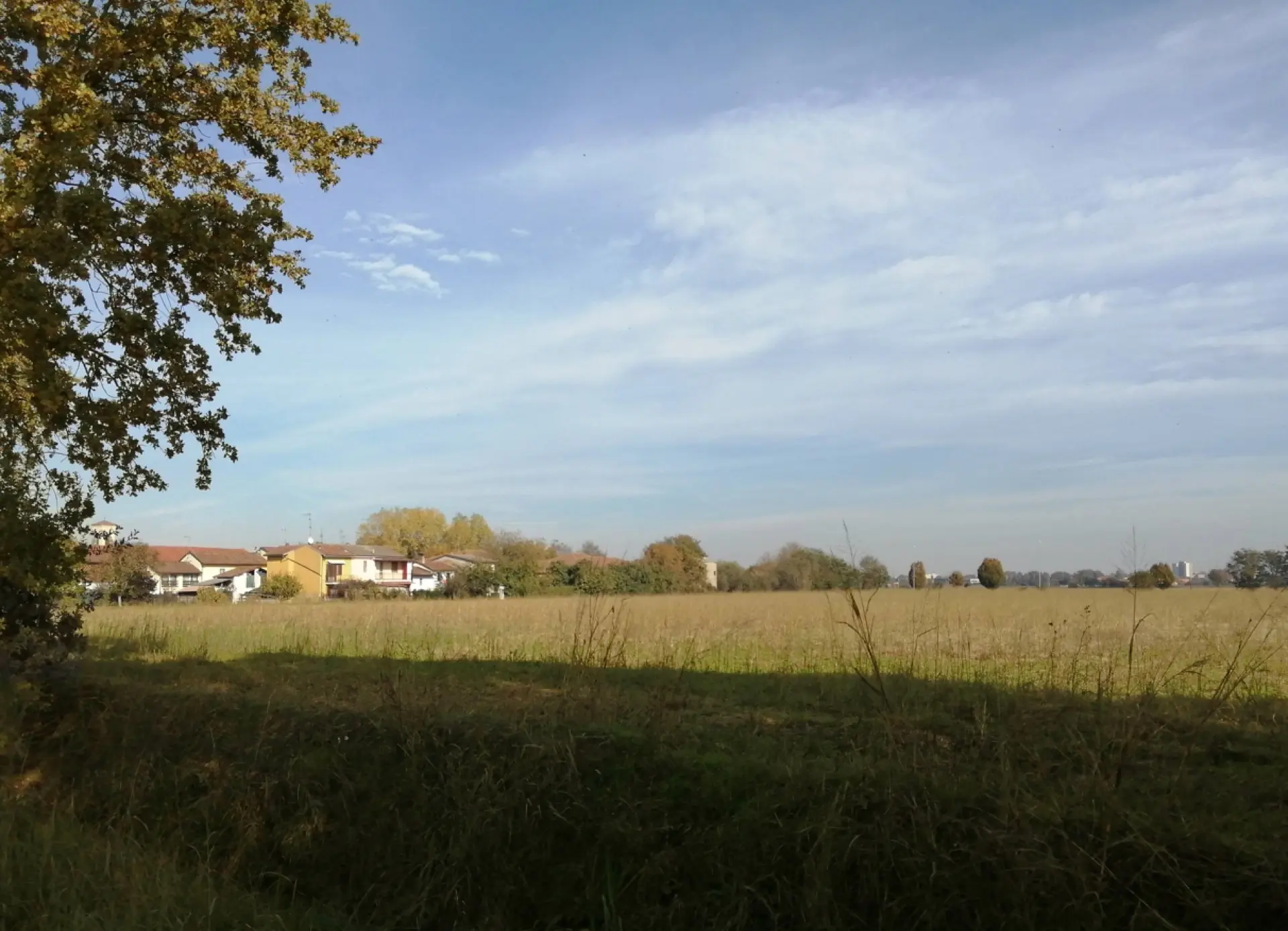 Stato originale - Fotoinserimenti per impianto agrivoltaico utility-scale (~10 MW) – valutazione impatto visivo
