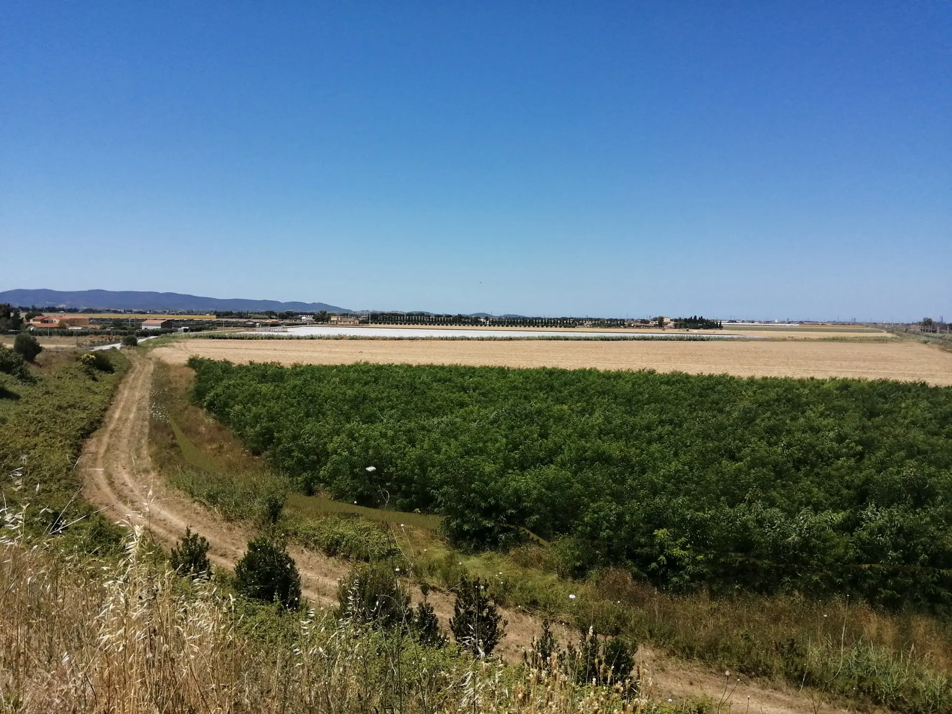 Stato originale - Fotoinserimenti per impianto agrivoltaico utility-scale (~30 MW) – valutazione impatto visivo