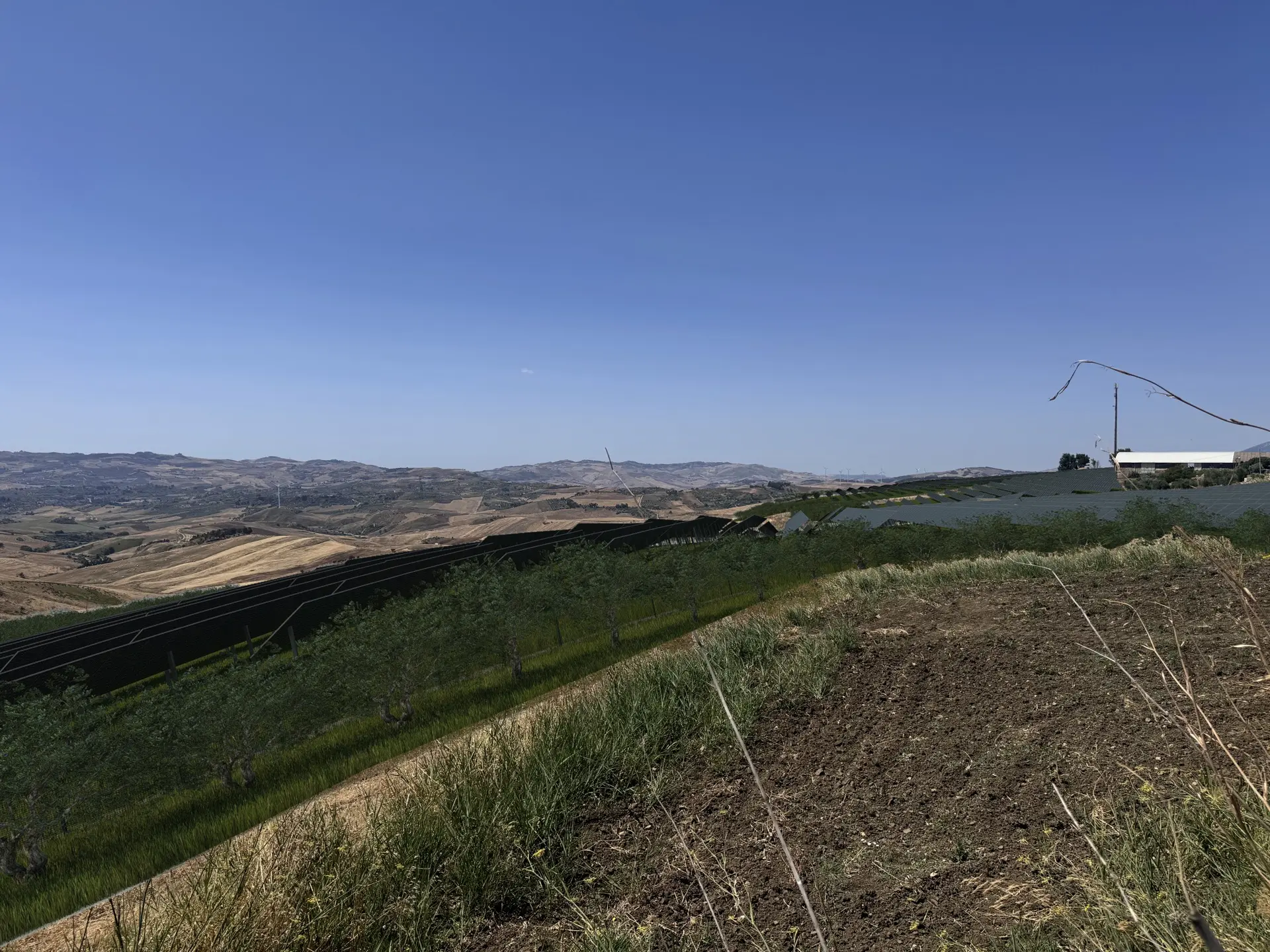 Render fotorealistico - Fotoinserimenti per impianto agrivoltaico utility-scale (~75 MW) – valutazione impatto visivo