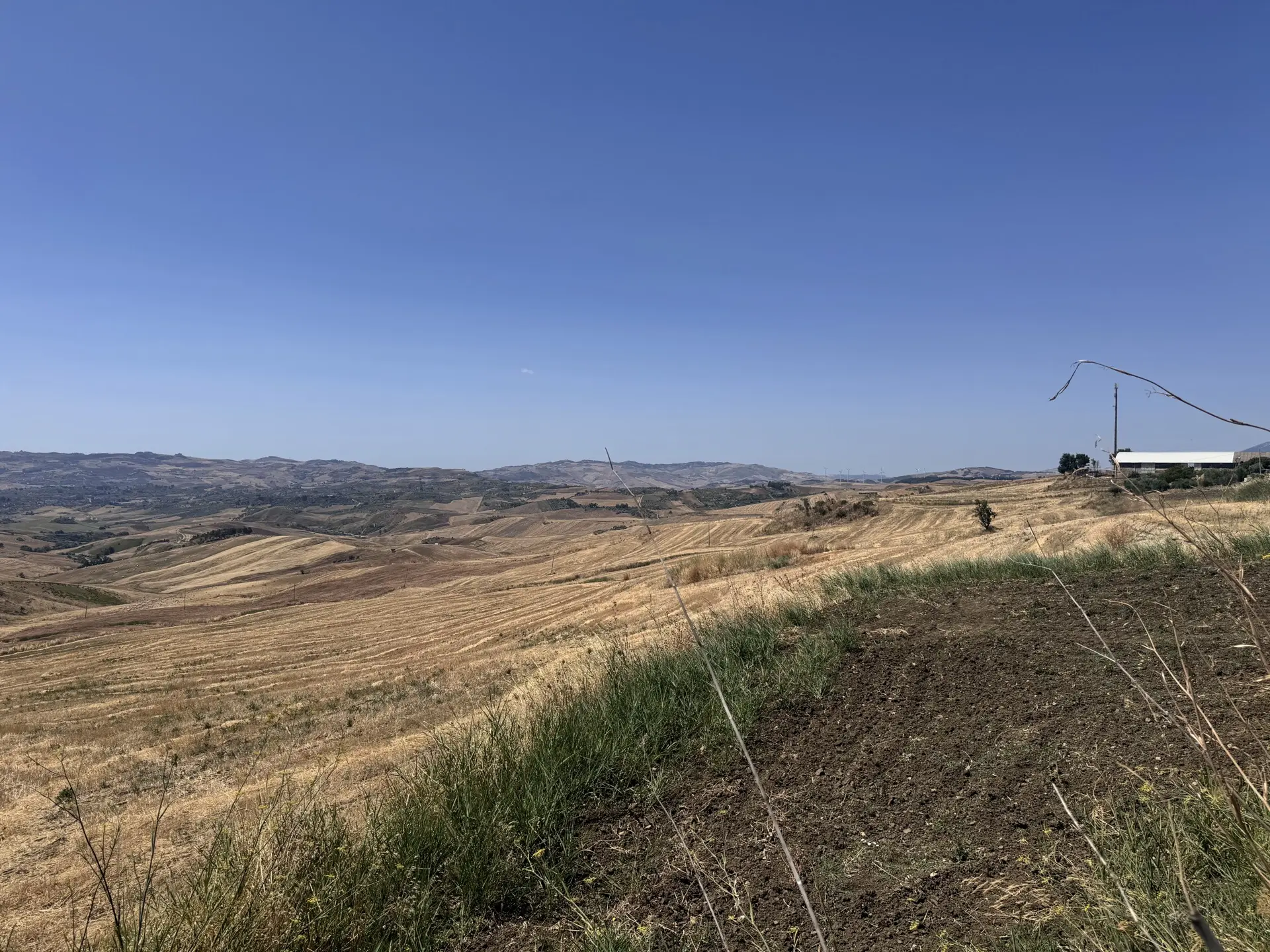 Stato originale - Fotoinserimenti per impianto agrivoltaico utility-scale (~75 MW) – valutazione impatto visivo