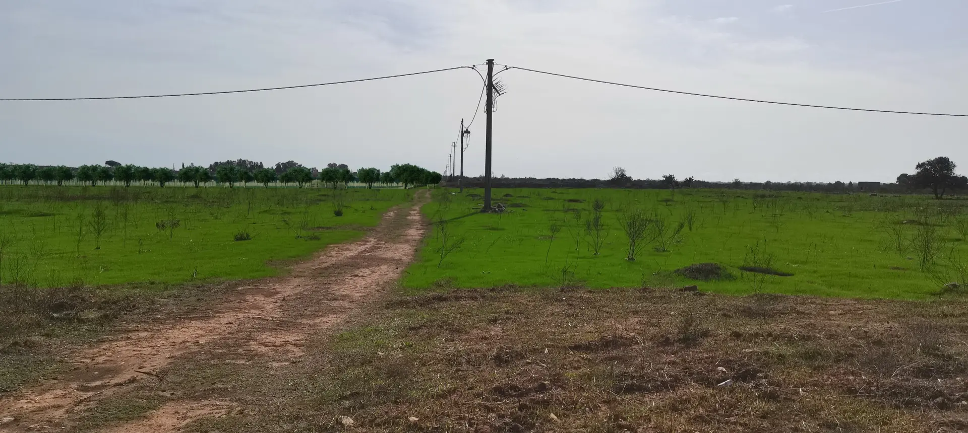 Render fotorealistico - Fotoinserimenti per impianto agrivoltaico utility-scale (~30 MW) – valutazione impatto visivo