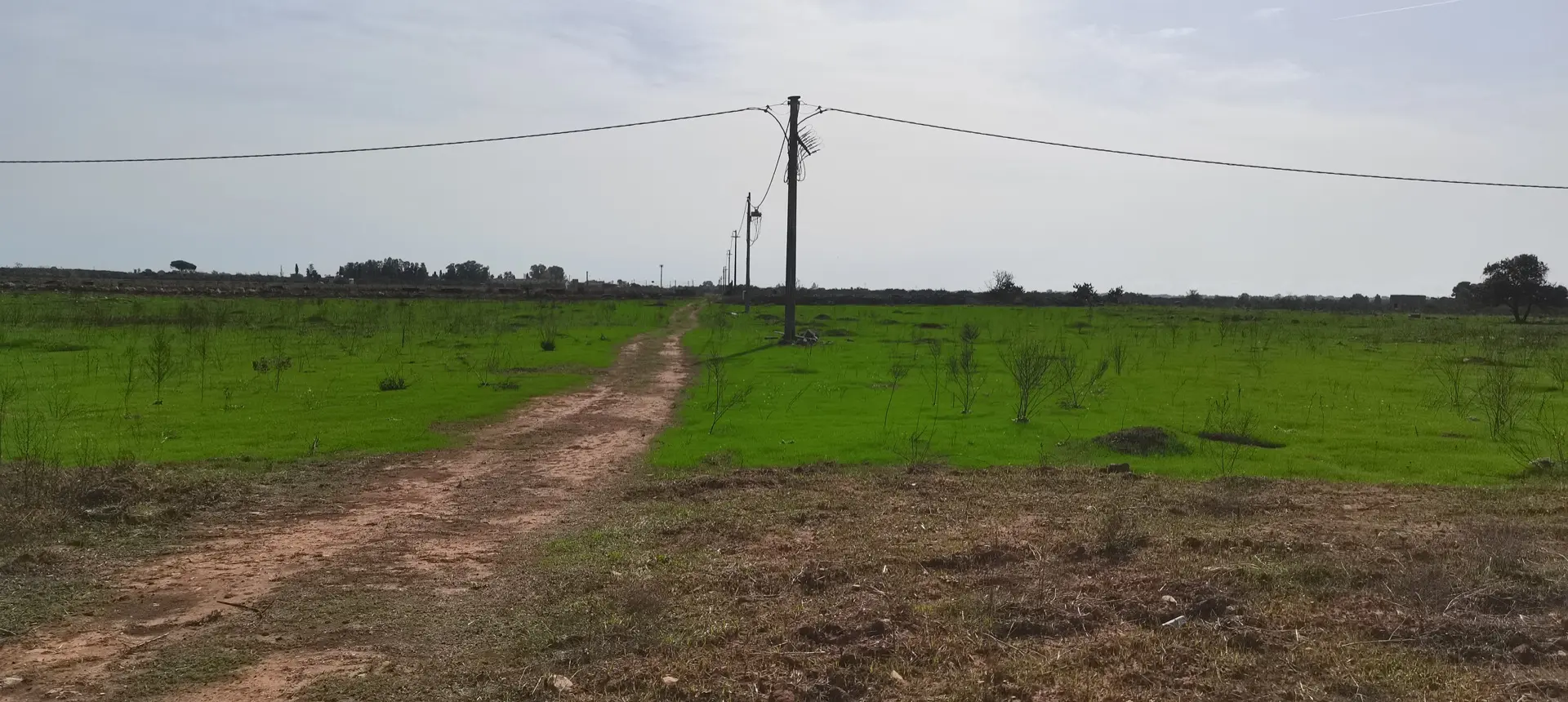 Stato originale - Fotoinserimenti per impianto agrivoltaico utility-scale (~30 MW) – valutazione impatto visivo