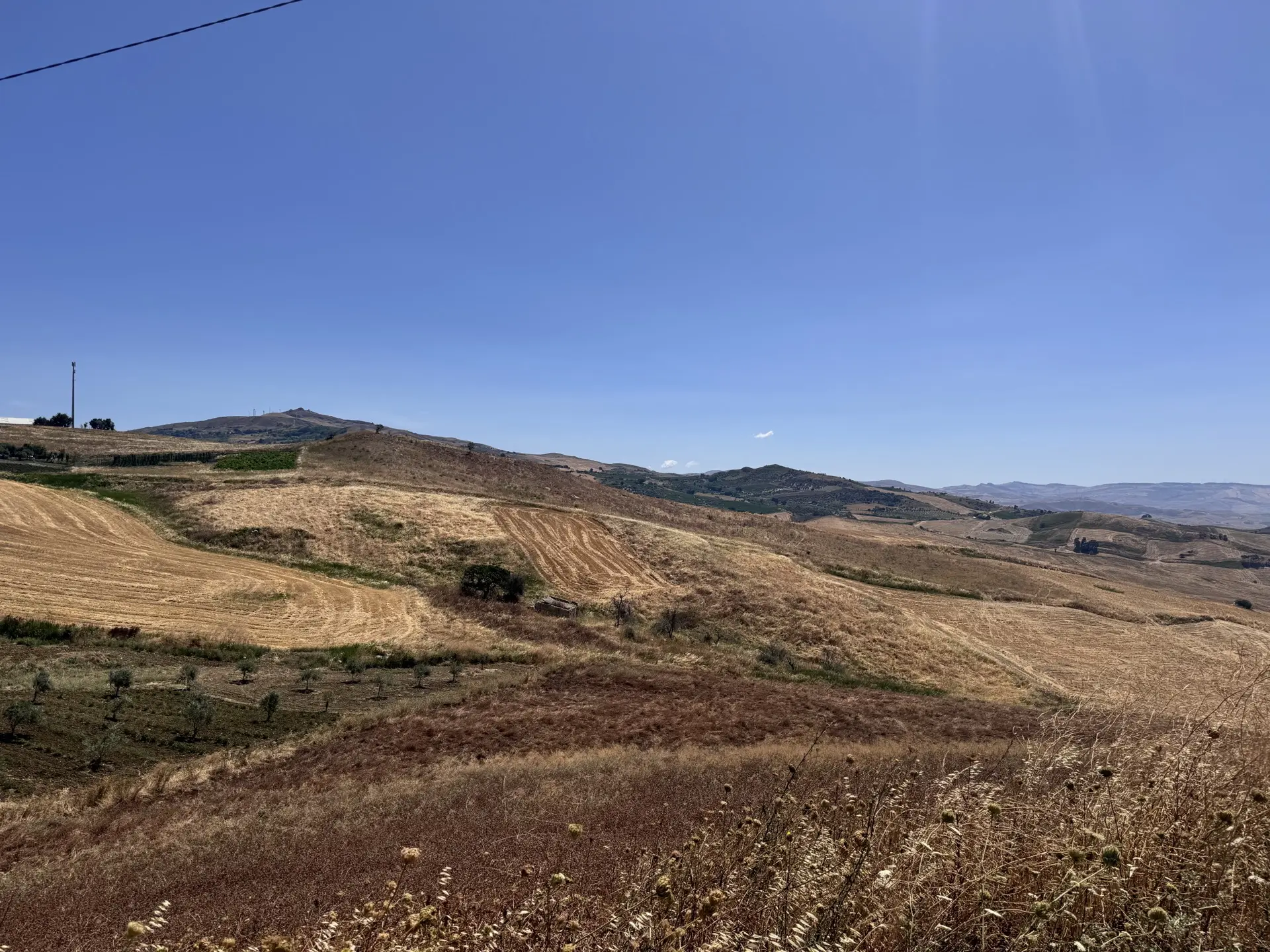 Stato originale - Fotoinserimenti per impianto agrivoltaico utility-scale (~75 MW) – valutazione impatto visivo