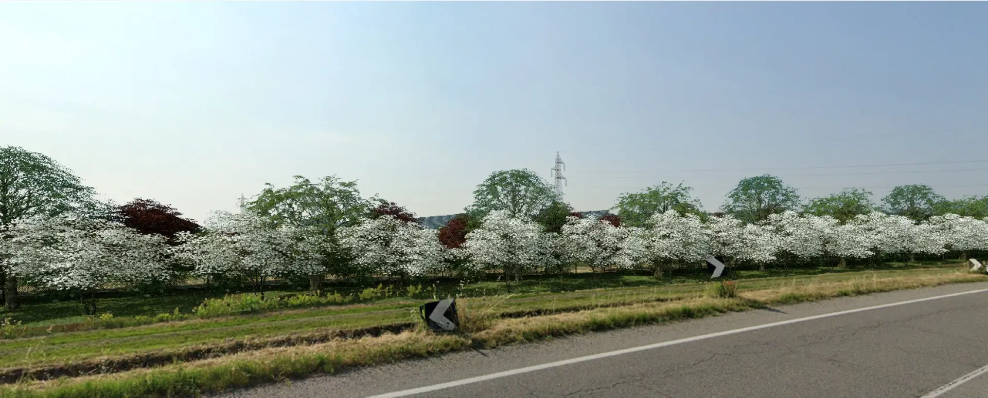 Render fotorealistico - Fotoinserimenti per impianto agrivoltaico utility-scale (~50 MW) – valutazione impatto visivo