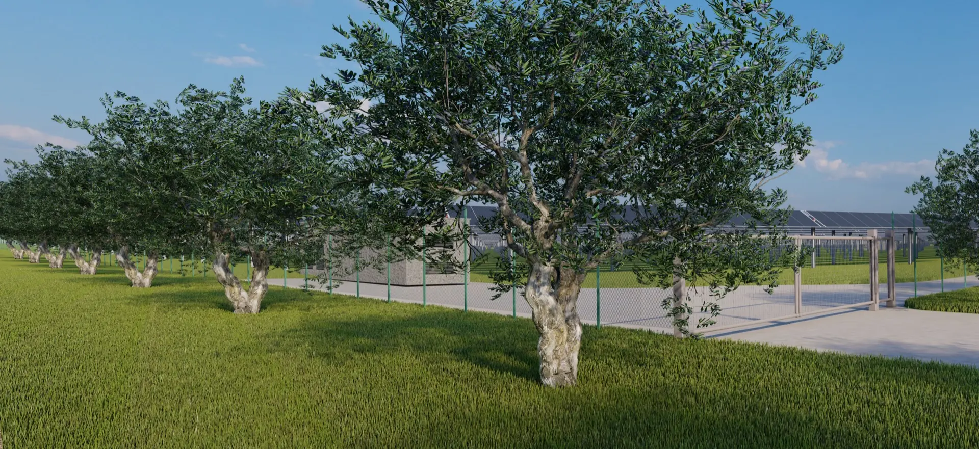 Render fotorealistico - Fotoinserimenti per impianto agrivoltaico utility-scale (~50 MW) – valutazione impatto visivo