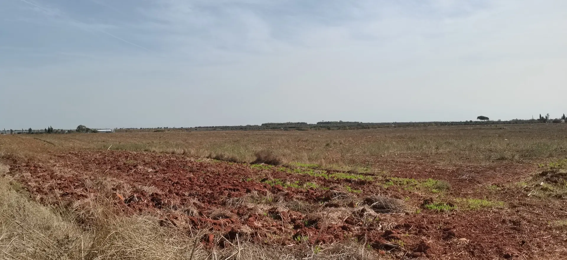 Stato originale - Fotoinserimenti per impianto agrivoltaico utility-scale (~50 MW) – valutazione impatto visivo