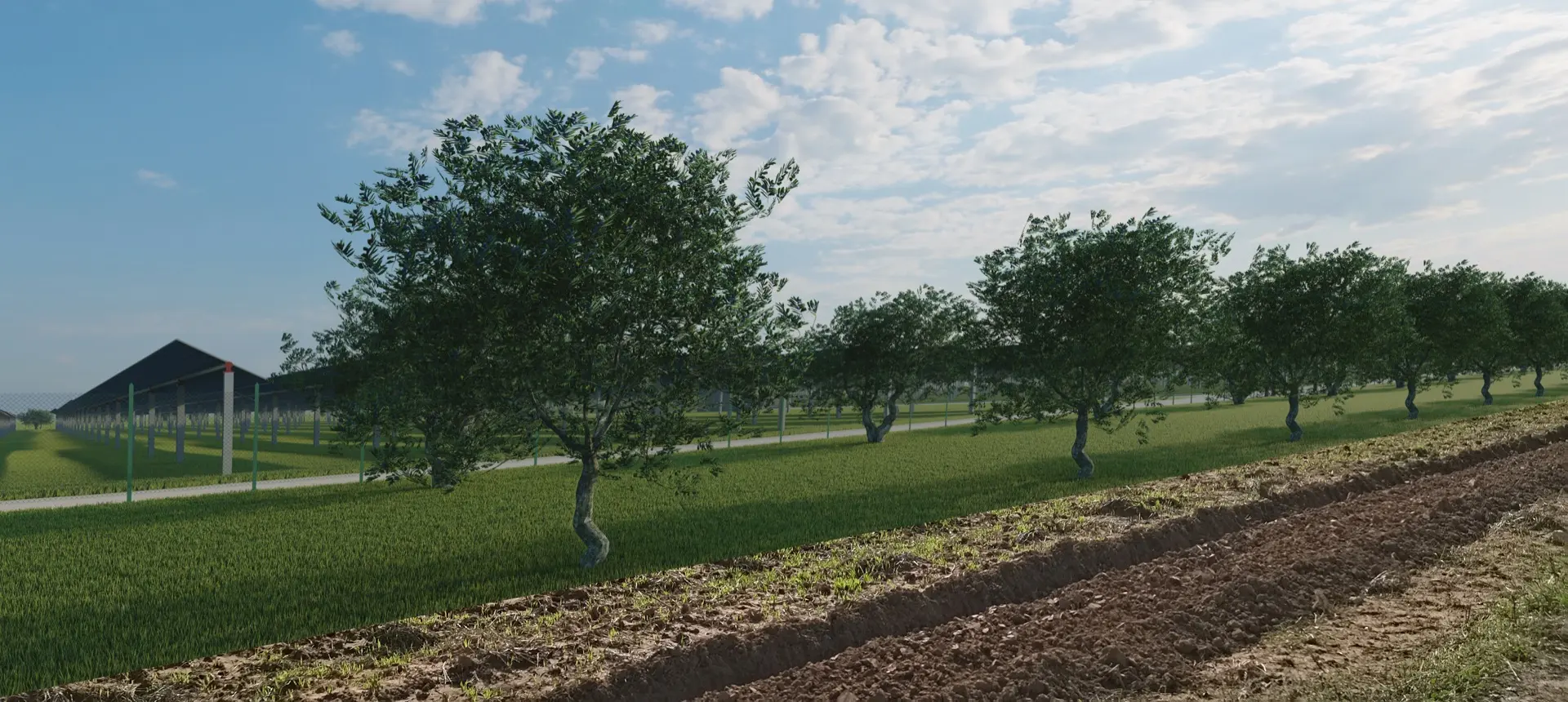 Render fotorealistico - Fotoinserimenti per impianto agrivoltaico utility-scale (~40 MW) – valutazione impatto visivo