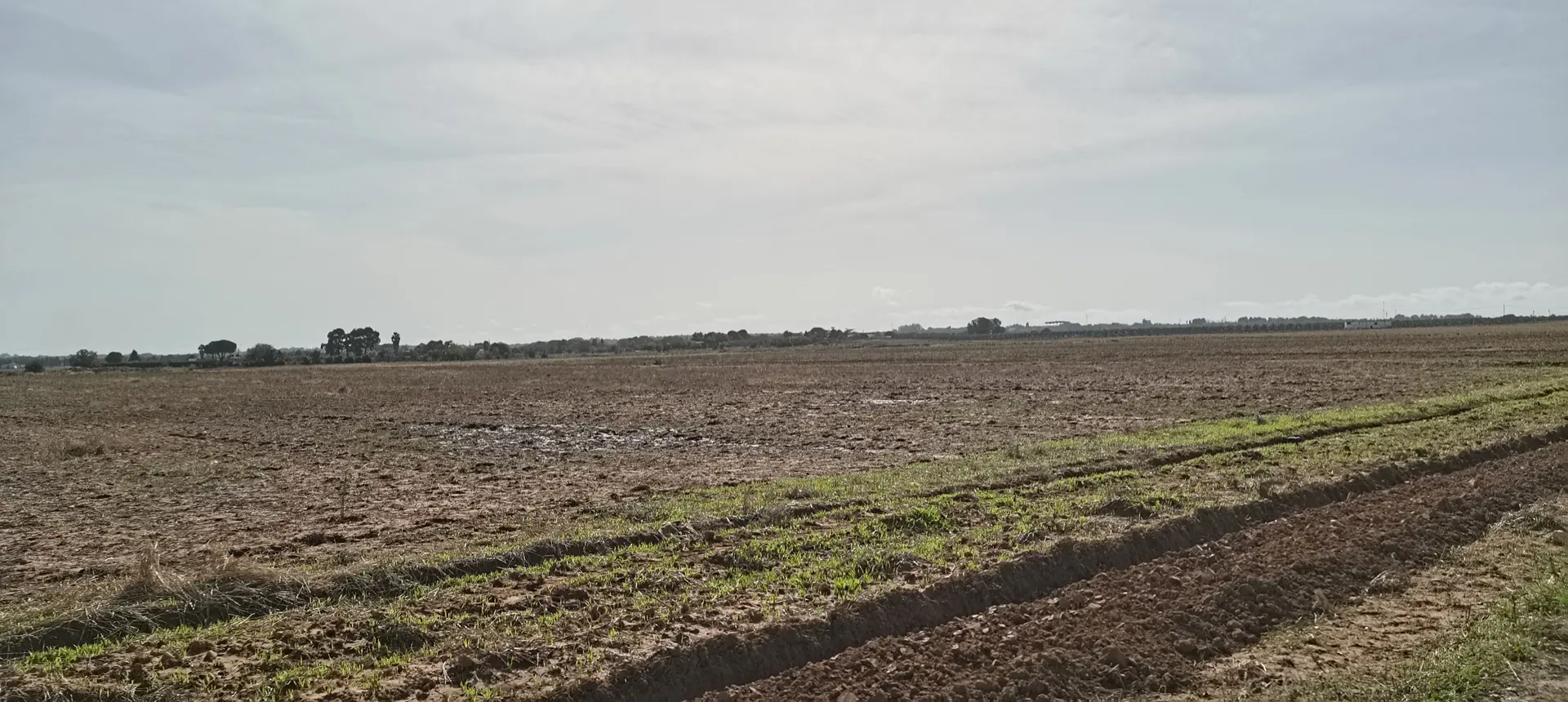 Stato originale - Fotoinserimenti per impianto agrivoltaico utility-scale (~40 MW) – valutazione impatto visivo