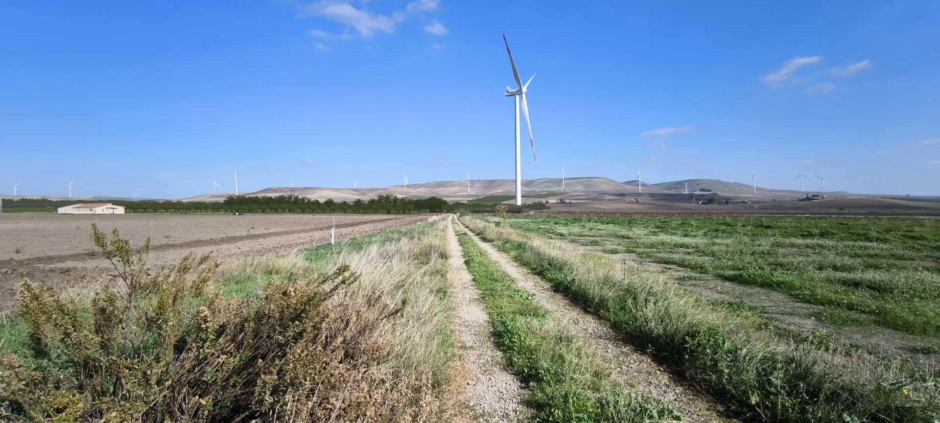 Render fotorealistico - Fotoinserimenti per impianto agrivoltaico utility-scale (~50 MW) – valutazione impatto visivo