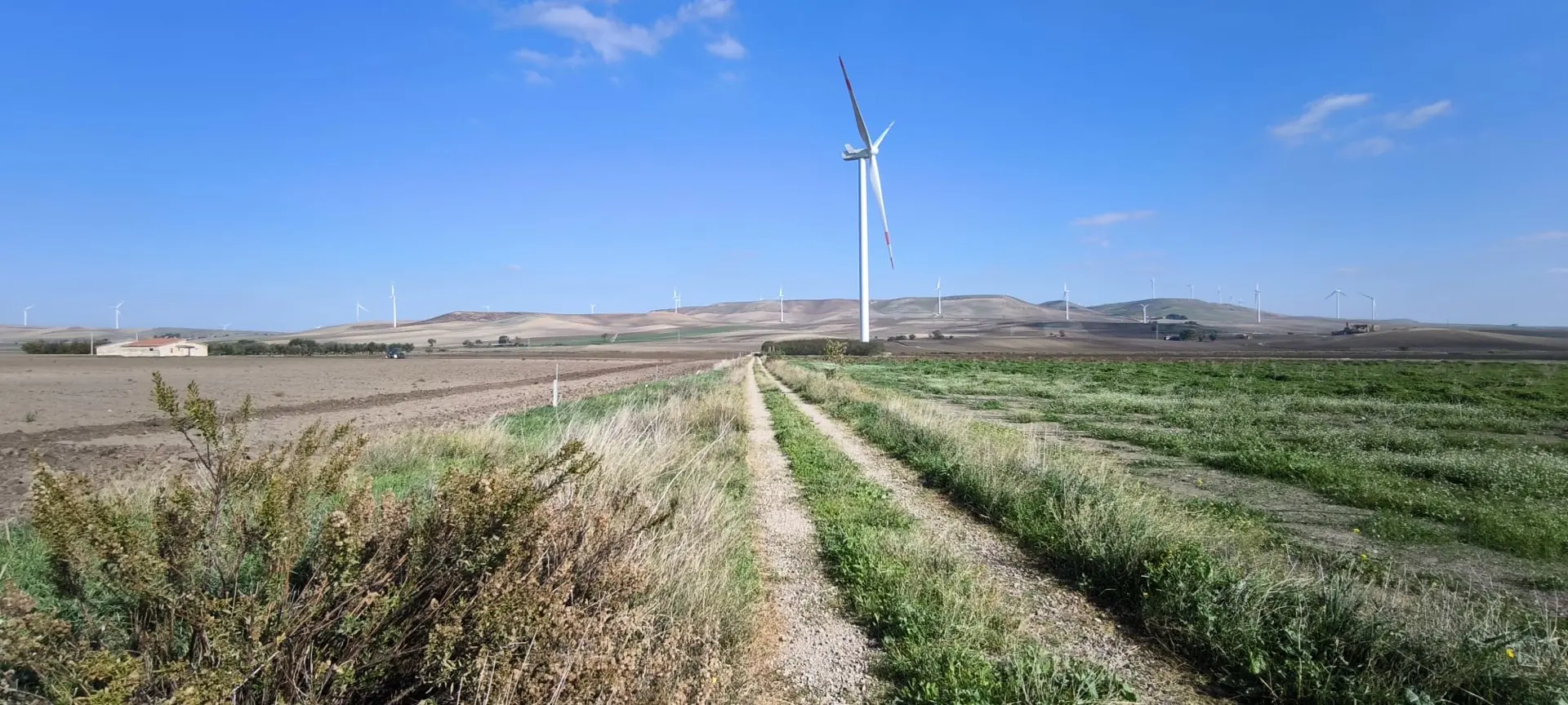 Stato originale - Fotoinserimenti per impianto agrivoltaico utility-scale (~50 MW) – valutazione impatto visivo