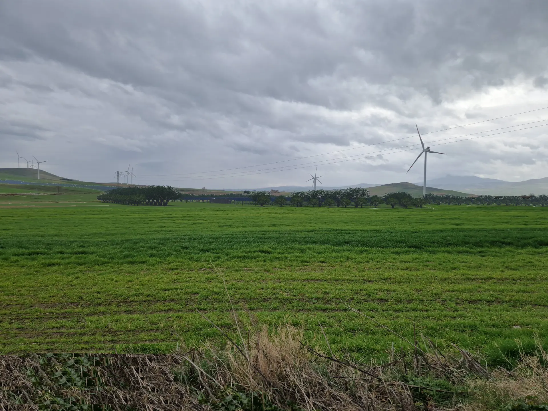 Render fotorealistico - Fotoinserimenti per impianto agrivoltaico utility-scale (~30 MW) – valutazione impatto visivo