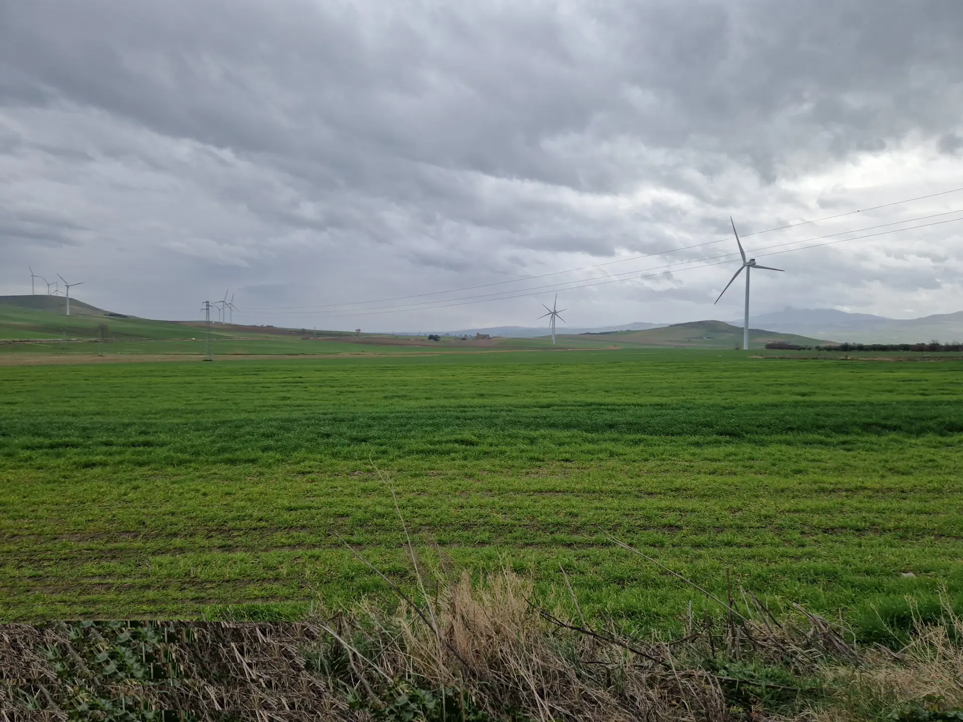 Stato originale - Fotoinserimenti per impianto agrivoltaico utility-scale (~30 MW) – valutazione impatto visivo