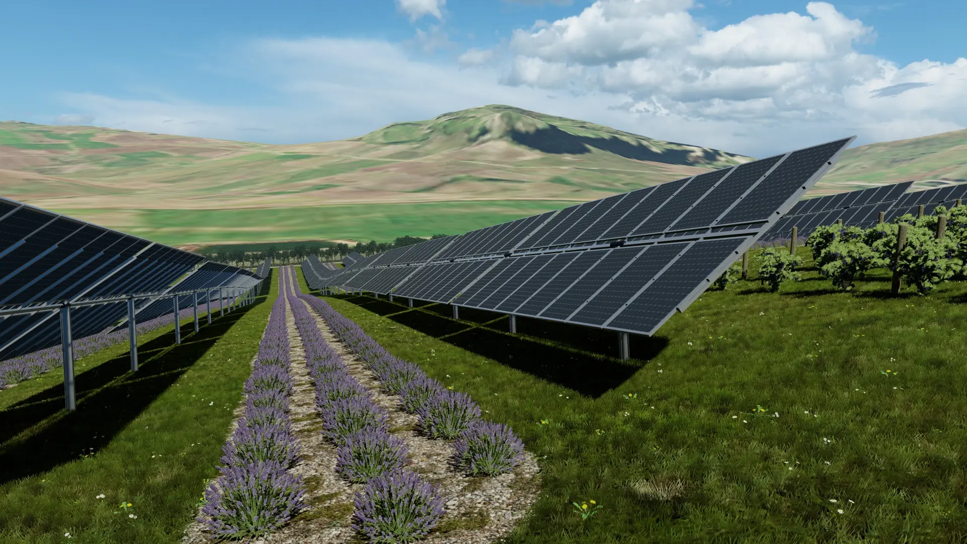 Render energie rinnovabili 62